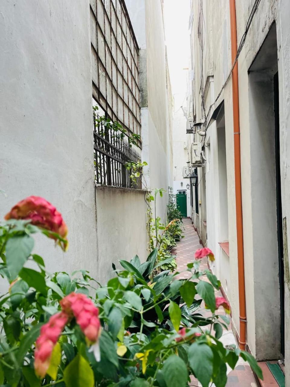 Recoleta -Ph Porteno بوينس آيرس المظهر الخارجي الصورة
